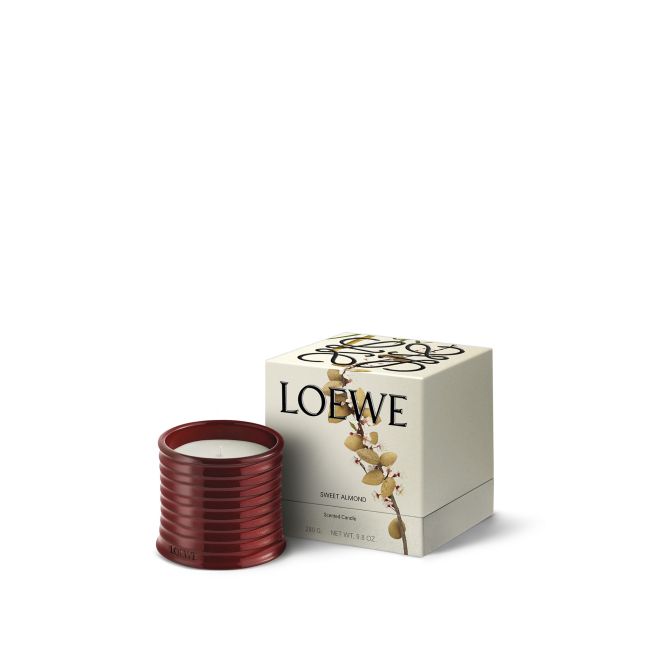 LOEWE | Loewe | Sweet Almond | Geurkaars | Midi
