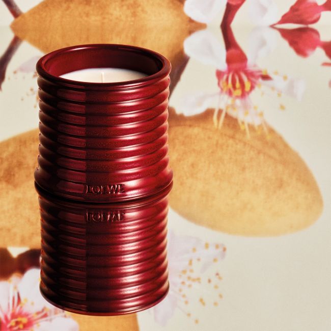 LOEWE | Loewe | Sweet Almond | Geurkaars | Midi