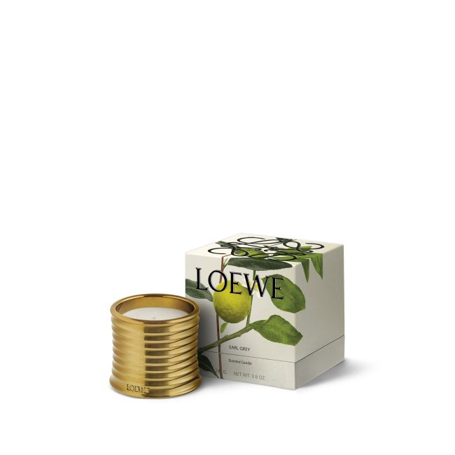 LOEWE | Loewe | Earl Grey | Geurkaars | Midi