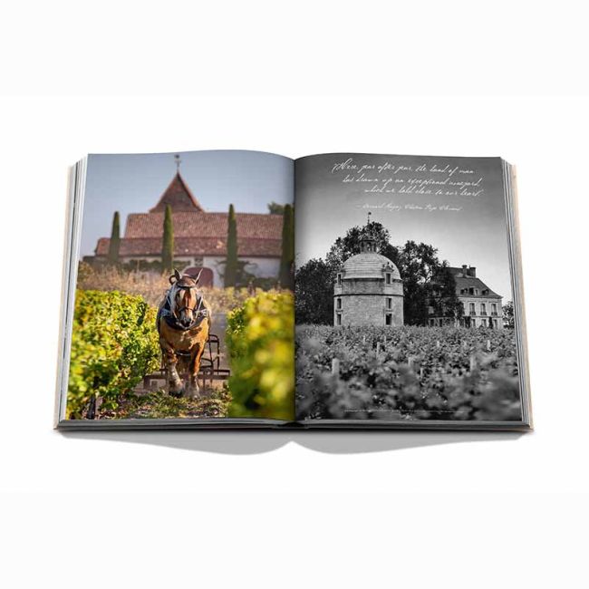 WEDDING GIFT ZOË & STEFAN | Wedding Gift Z&S | Assouline | Koffietafelboek | Wine and Travel | France