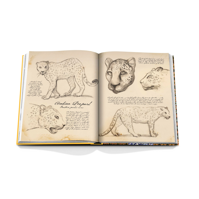 ASSOULINE | Assouline | koffietafelboek | Arabian Leopard
