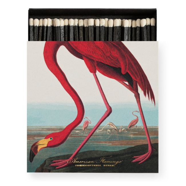 ARCHIVIST | Archivist | The American Flamingo