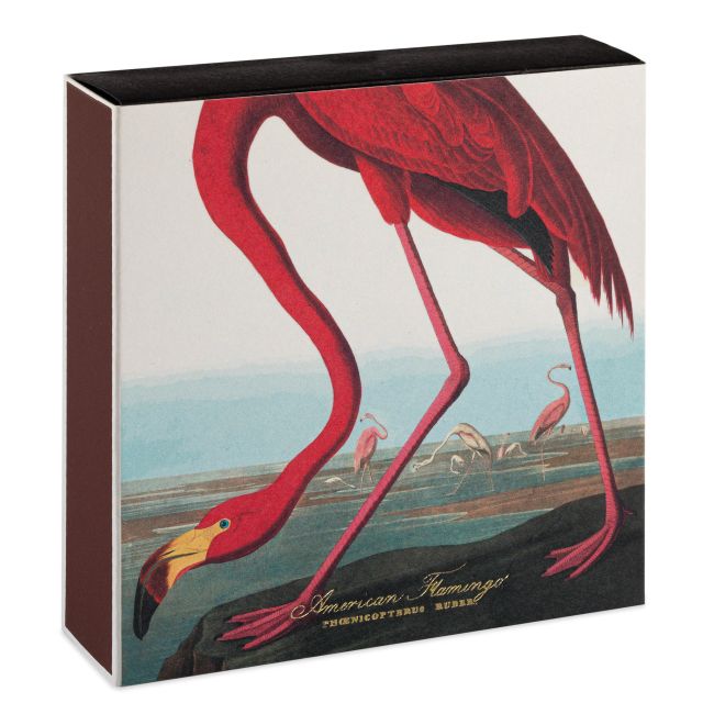 ARCHIVIST | Archivist | The American Flamingo
