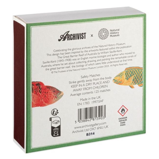 ARCHIVIST | Archivist | Lucifers | Natural History Museum Fish