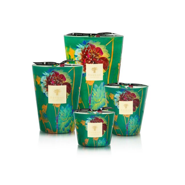 BAOBAB COLLECTION | Baobab Collection SS26 | Arty Flowers | Bouquet | Geurkaars | PRE-ORDER