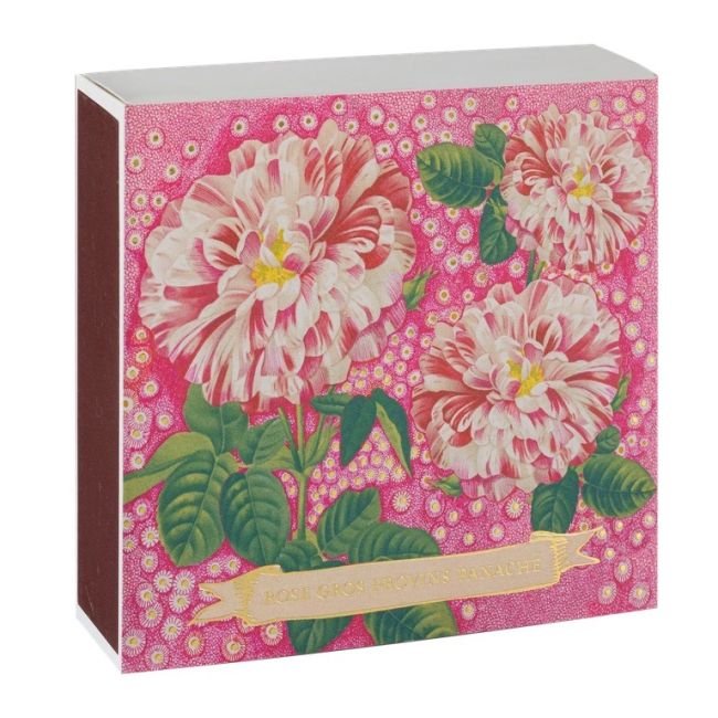 ARCHIVIST | Archivist | Lucifers | Rose Provin Petunia