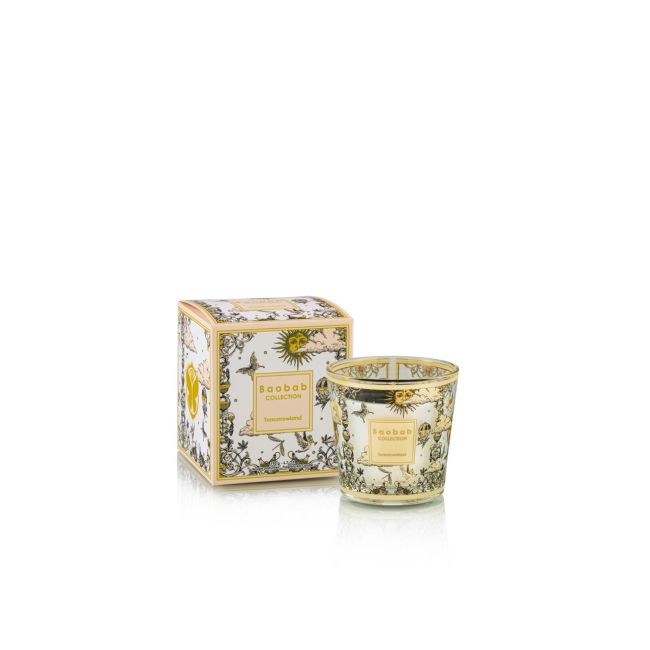 BAOBAB COLLECTION | Baobab Collection | My First Baobab | Tomorrowland 2025 | Geurkaars