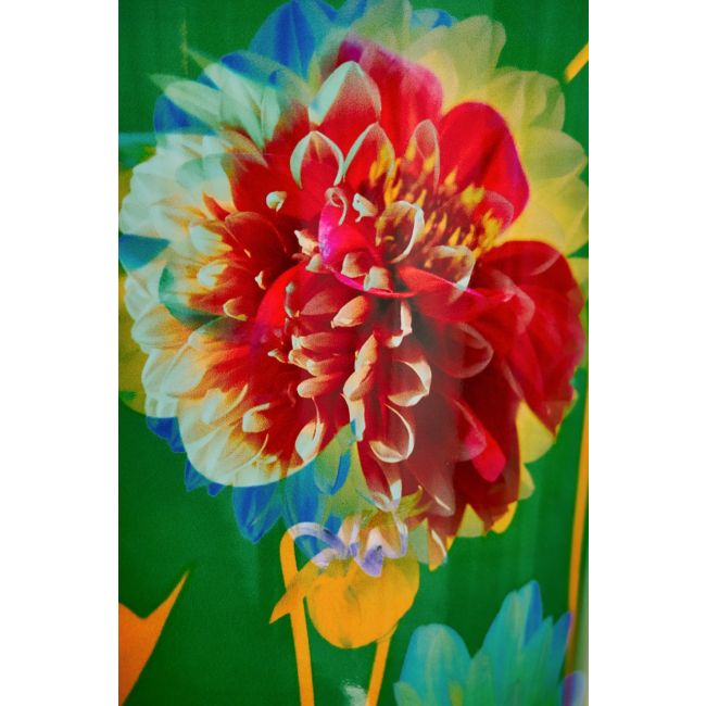 BAOBAB COLLECTION | Baobab Collection SS26 | Arty Flowers | Bouquet | Geurkaars | PRE-ORDER