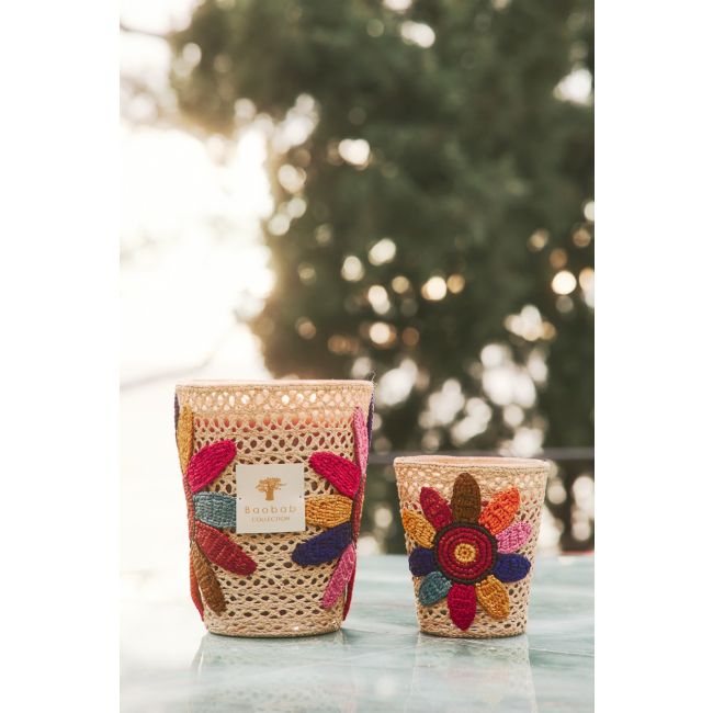 BAOBAB COLLECTION | Baobab Collection SS26 | Tournesol | Girasol | Geurkaars | PRE-ORDER