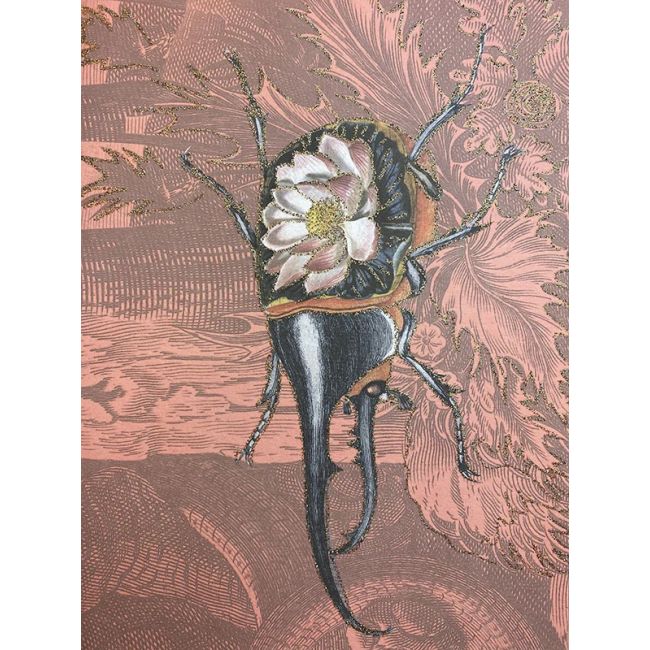 VANILLA FLY  | Vanilla Fly | Wenskaart | Flower Bug | A5