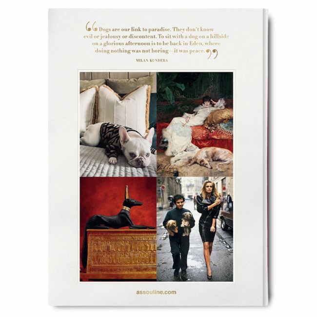ASSOULINE | Assouline | Koffietafelboek | Chic Dogs