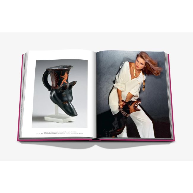 ASSOULINE | Assouline | Koffietafelboek | Chic Dogs