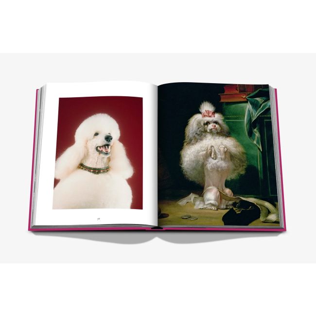 ASSOULINE | Assouline | Koffietafelboek | Chic Dogs