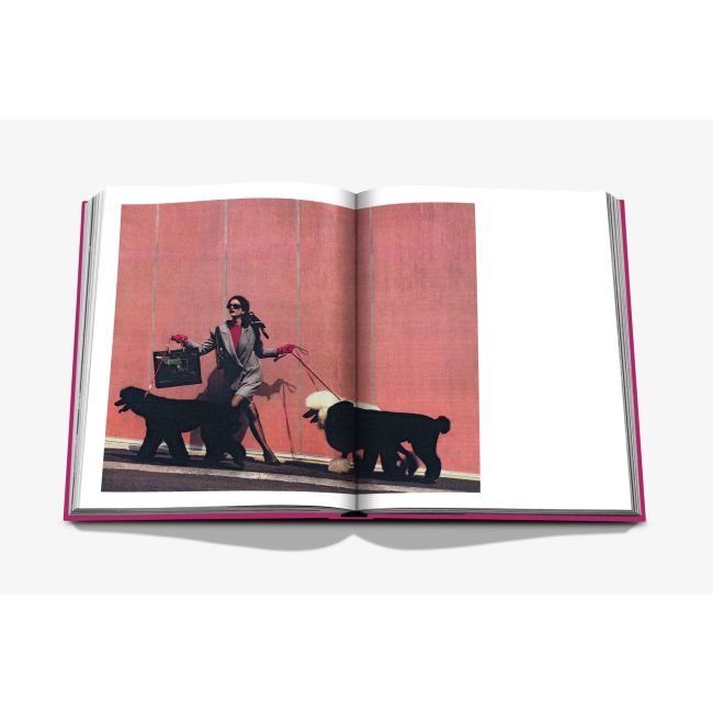 ASSOULINE | Assouline | Koffietafelboek | Chic Dogs