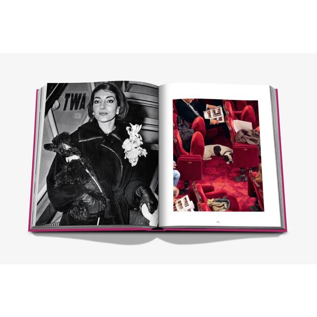 ASSOULINE | Assouline | Koffietafelboek | Chic Dogs