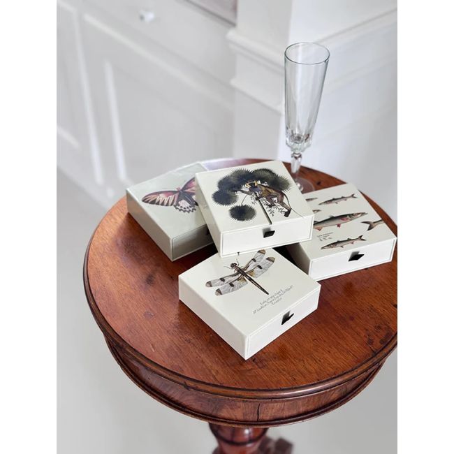 VANILLA FLY | Vanilla Fly | Onderzetters | Butterfly