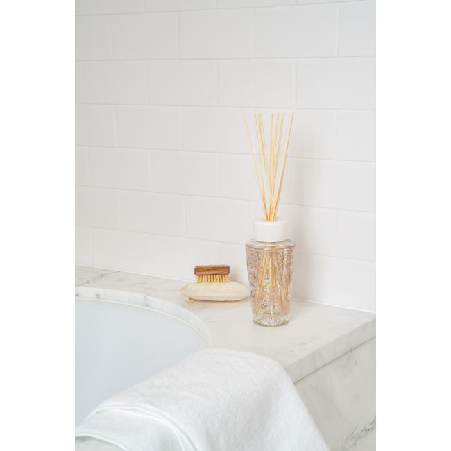 BAOBAB COLLECTION | Baobab Collection | My First Baobab | Paris | Gift Box 