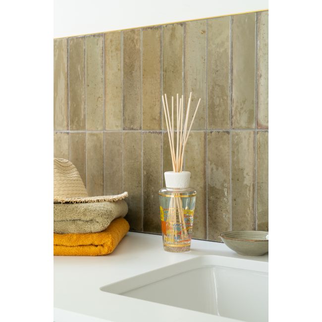 BAOBAB COLLECTION | Baobab Collection | My First Baobab | Saint-Tropez | Gift Box 