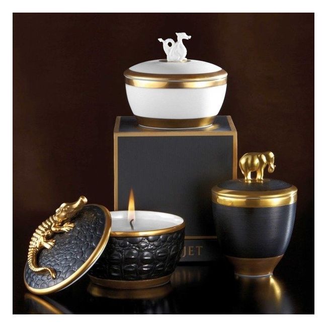 L'OBJET  | L'objet | Geurkaars | Crocodile 