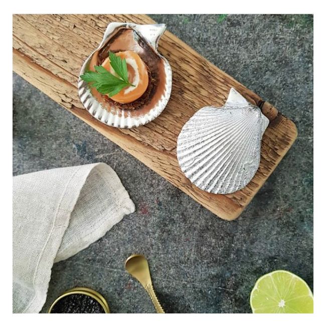 ANOVI | Anovi | Set van 4 | Amuse Schelp | Zilver