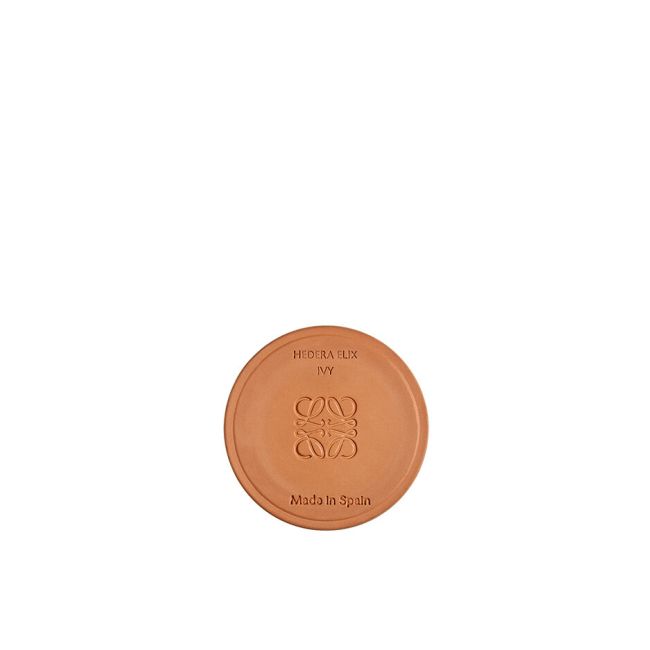 LOEWE  | Loewe | Ivy | Geurkaars | S