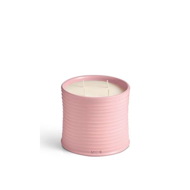LOEWE  | Loewe | Ivy | Geurkaars | L