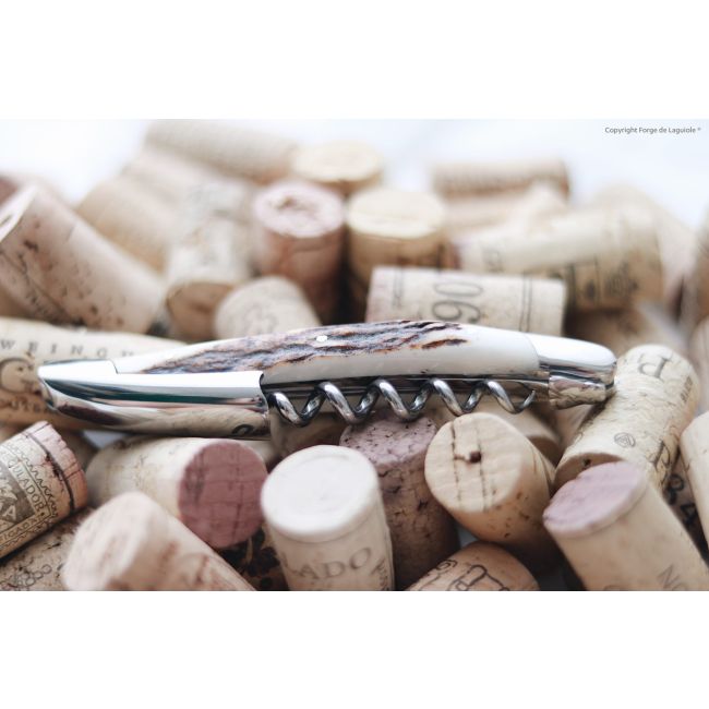 FORGE DE LAGUIOLE | Forge de Laguiole | Sommeliermes | Deer Antler 