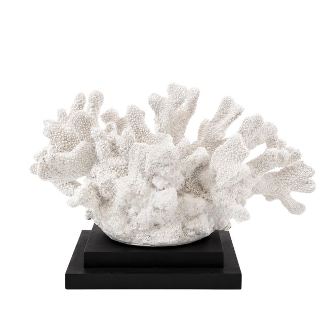 WEDDING GIFT ZOË & STEFAN | Wedding Gift Z&S | Koraal op Voet