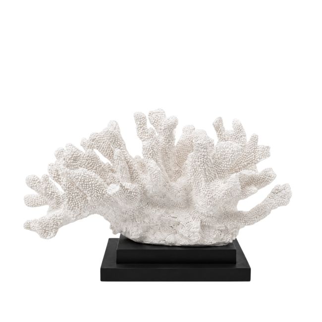 WEDDING GIFT ZOË & STEFAN | Wedding Gift Z&S | Koraal op Voet