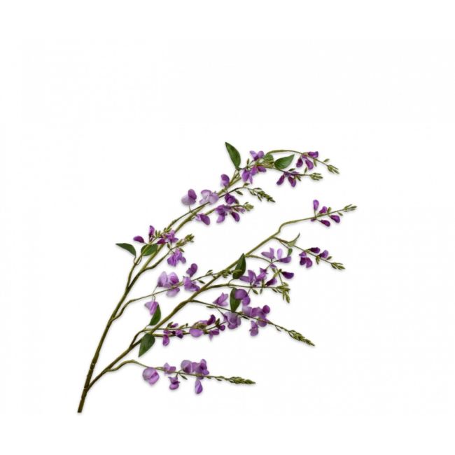 SILK-KA | Silk-ka | Lathyrus Tak Lila | 123cm