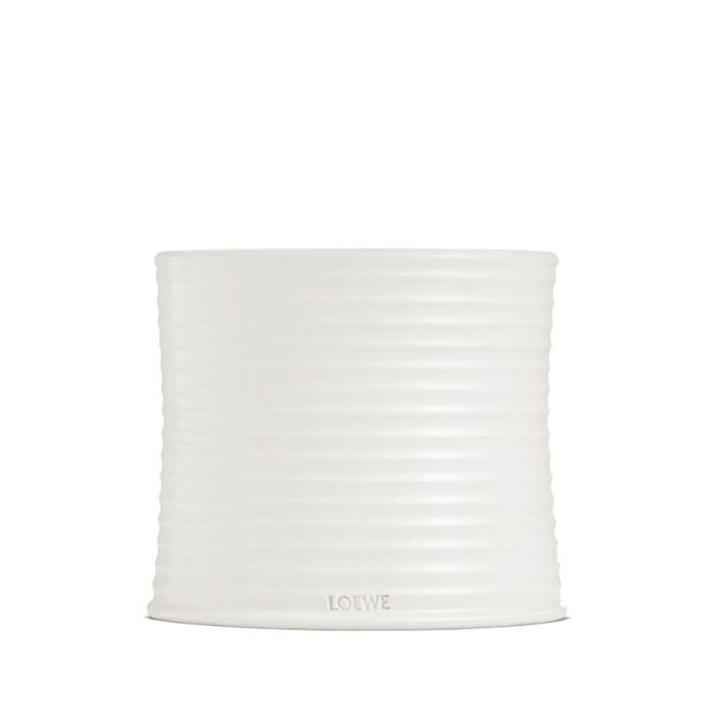 LOEWE  | Loewe | Oregano | Geurkaars | L