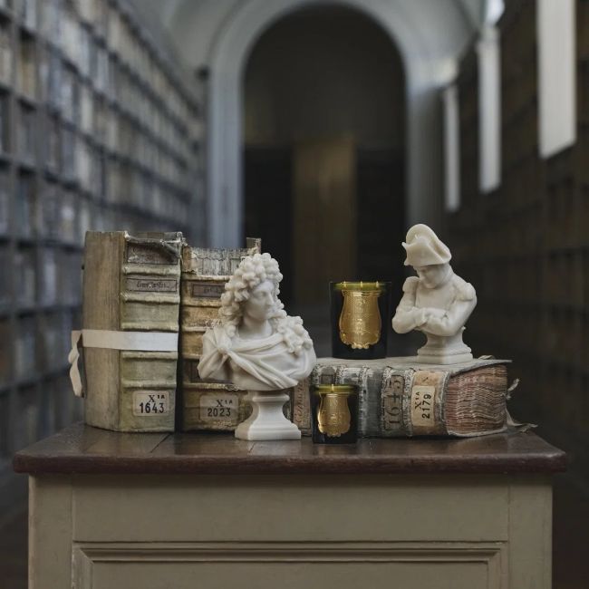 TRUDON | Trudon | Buste | Louis XIV | Stone