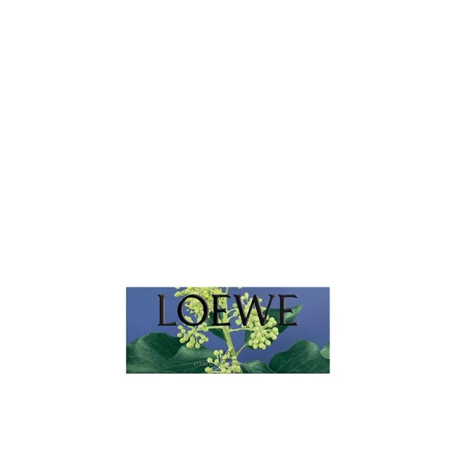 LOEWE | Loewe | Ivy | Zeep