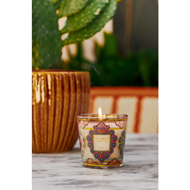 BAOBAB COLLECTION  | Baobab Collection | My First Baobab | Mexico | Geurkaars 