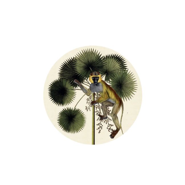 VANILLA FLY | Vanilla Fly | Onderzetters | Monkey