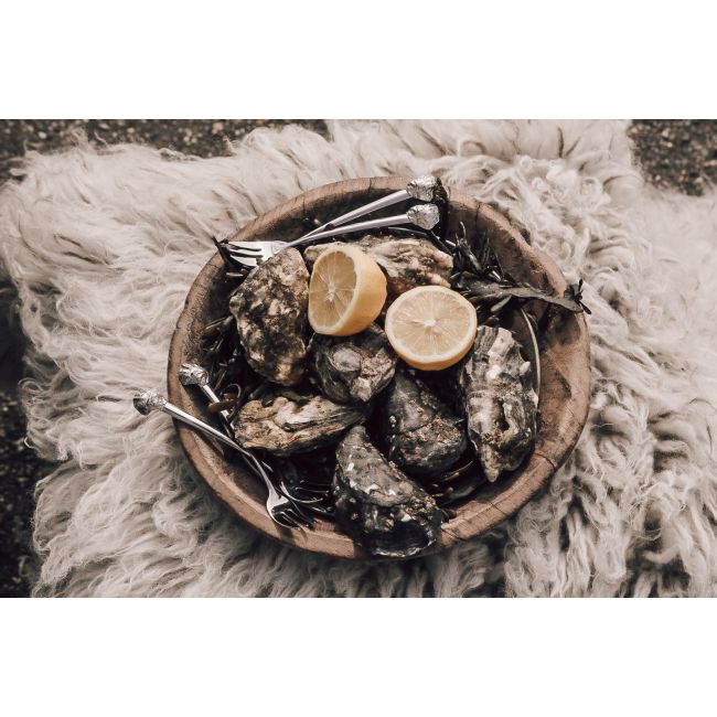 ANOVI | Anovi | Set van 4 | Oester vorkjes | Zilver