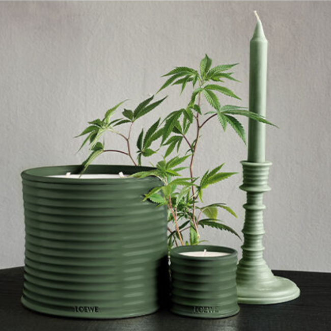 LOEWE  | Loewe | Marihuana | Geurkaars | S