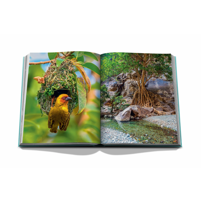 ASSOULINE | Assouline | Koffietafelboek | Red Sea: The Saudi Coast