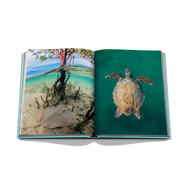ASSOULINE | Assouline | Koffietafelboek | Red Sea: The Saudi Coast