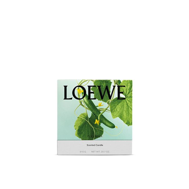 LOEWE | Loewe | Cucumber | Geurkaars | S