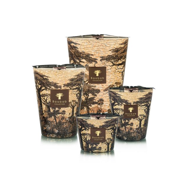BAOBAB COLLECTION | Baobab Collection FW25 | Sacred Trees | Mankono | Geurkaars