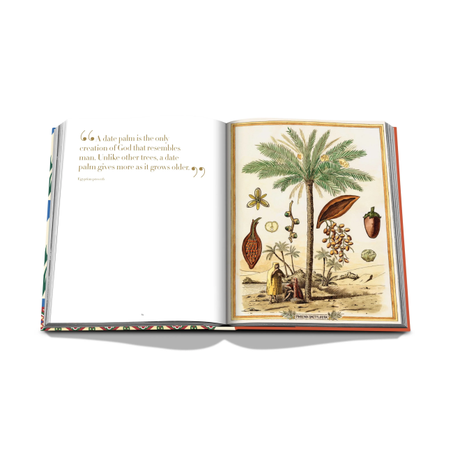 ASSOULINE | Assouline | Koffietafelboek | Saudi Dates: A Portrait of the Sacred Fruit