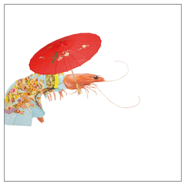 BORDY'S | Bordy's | Sushi set voor 6 personen 