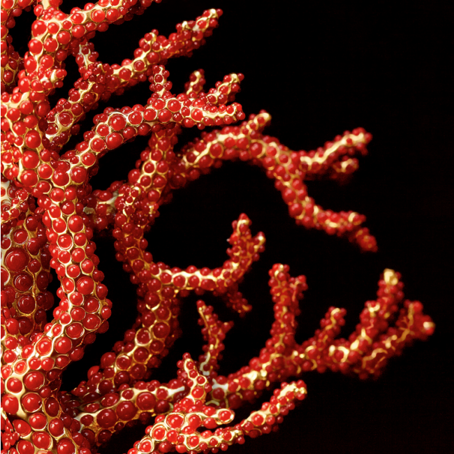 L'OBJET | L'objet | Bookstand | Coral 