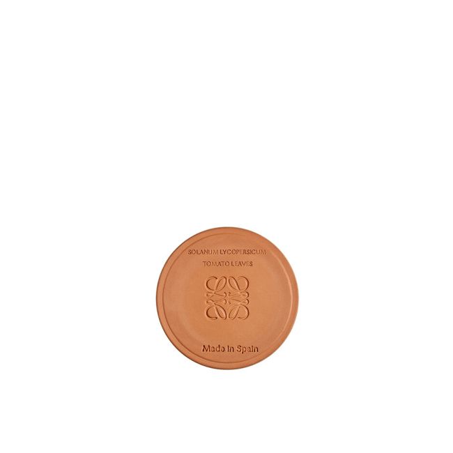 LOEWE  | Loewe | Tomato Leaves | Geurkaars | S