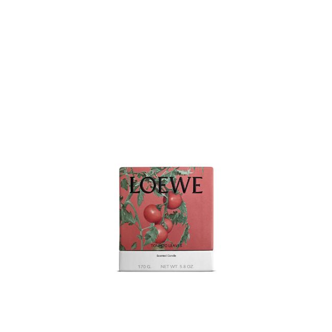 LOEWE  | Loewe | Tomato Leaves | Geurkaars | S