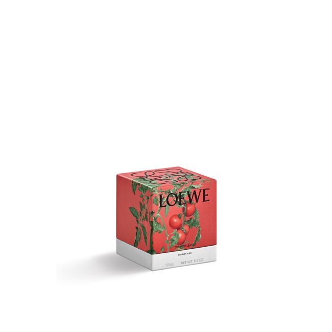 LOEWE  | Loewe | Tomato Leaves | Geurkaars | S