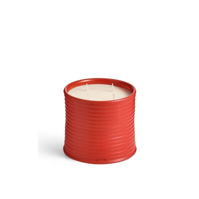 LOEWE  | Loewe | Tomato Leaves | Geurkaars | L