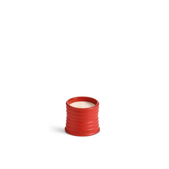 LOEWE  | Loewe | Tomato Leaves | Geurkaars | S