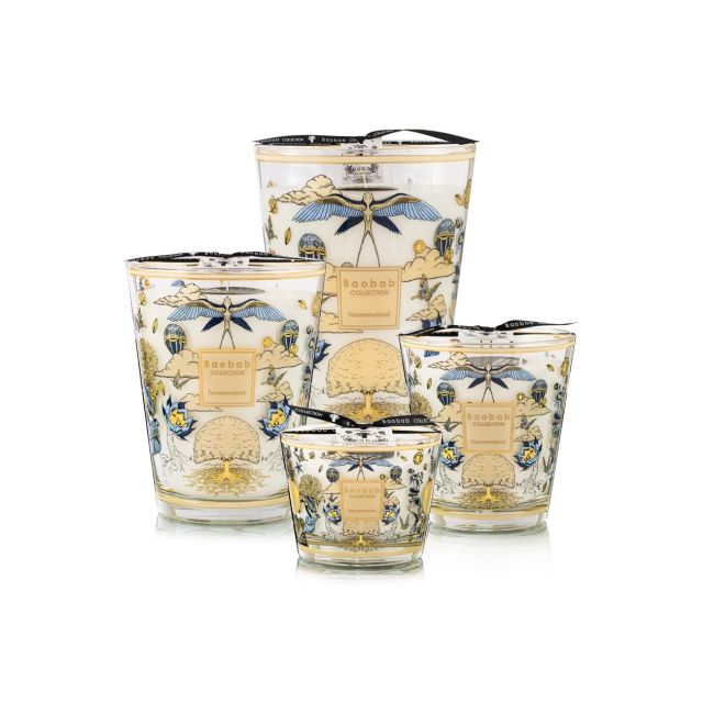 BAOBAB COLLECTION | Baobab Collection SS26 | Tomorrowland 2026 | Geurkaars